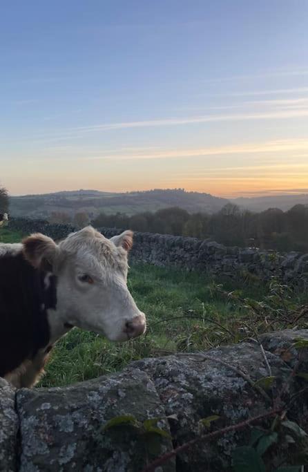 Rosemary -your Cozy Countryside Escape, *